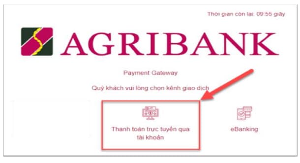 + Điều kiện sử dụng: T&agrave;i khoản thanh to&aacute;n tại Agribank của Qu&yacute; kh&aacute;ch đ&atilde; đăng k&yacute; sử dụng dịch vụ Thương mại điện tử (Ecommerce).&rsquo;