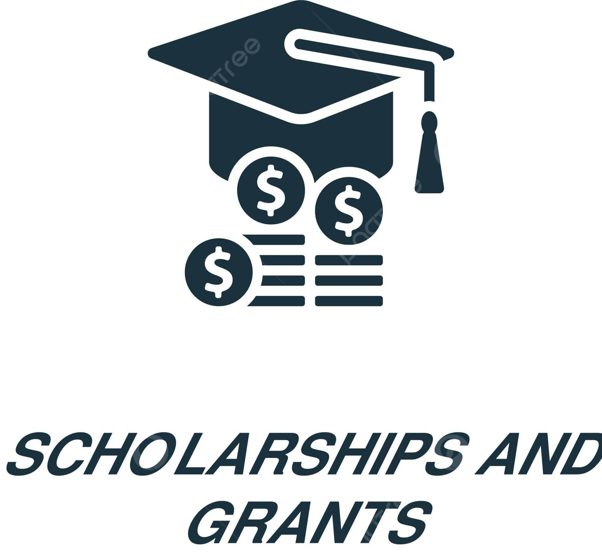 Trường có hỗ trợ học bổng không?